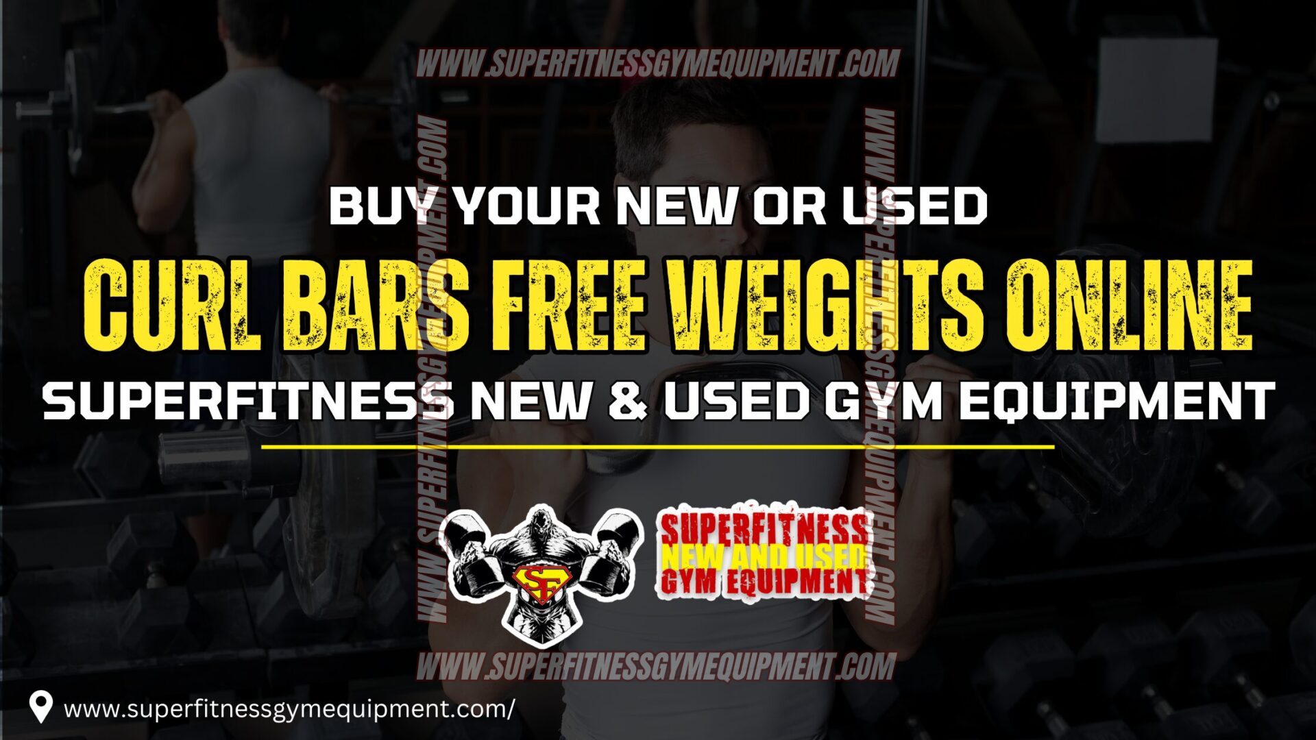 Curl Bars Free Weights Online